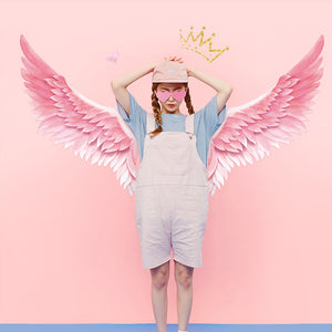 Pink Wing Crown Wall Stickers for Girls Bedroom